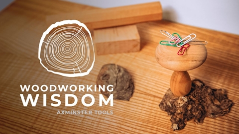 Turn a Magnetic Mushroom Paper Clip - Woodworking Wisdom